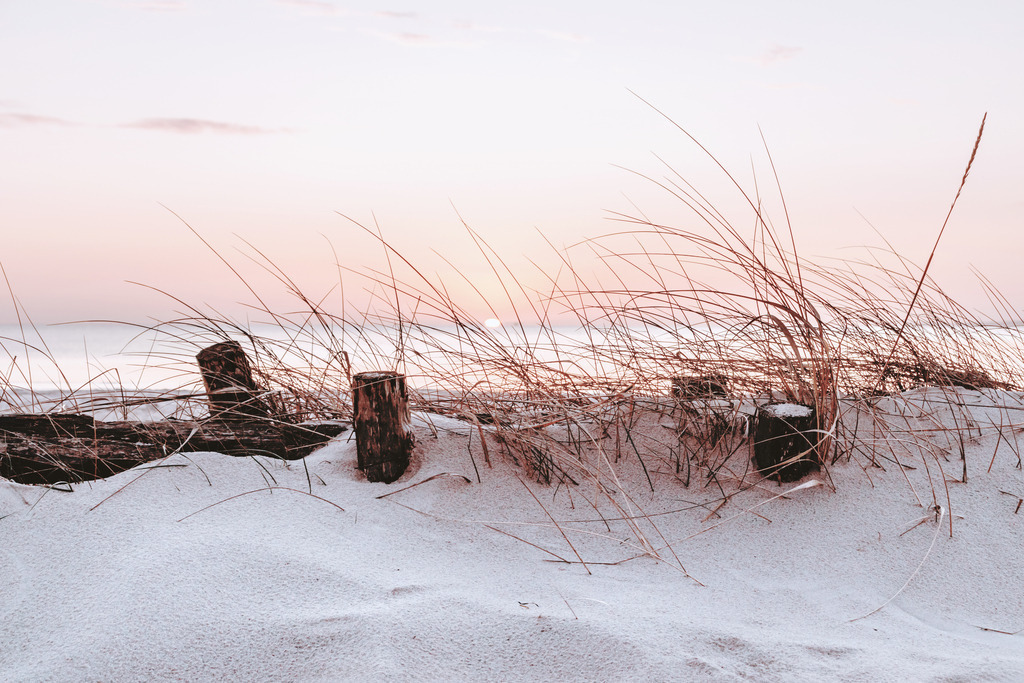 XXL Wandbild: Düne und Strandhafer im Sonnenaufgang | Erlebe den magischen Moment, wenn der Tag am Meer erwacht. Dieses XXL Wandbild zeigt eine sanfte Dünenlandschaft mit filigranem Strandhafer, der im ersten Licht des Sonnenaufgangs golden leuchtet. Die ruhige, pastellfarbene Lichtstimmung und der weite Blick über den Strand schaffen eine Atmosphäre von tiefer Entspannung und neuer Energie. Ein zeitloses Motiv, das natürliche Wärme in dein Wohnzimmer, in Wellnessbereiche oder einladende Ferienwohnungen bringt. In beeindruckenden Abmessungen von bis zu 180 x 120 cm entfaltet diese Küstenszenerie ihre volle beruhigende Wirkung und wird zum stilvollen Mittelpunkt deiner Wandgestaltung.