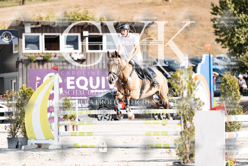 CK909165 | Turnierfotografie Pferdefotografie Trier Rheinland-Pfalz Pferdesport Reitsport Tierfotografie Sportfotografie Pferdevideo Pferdevideografie Equestrianvideography equestrianphotography  - Realisiert mit Pictrs.com