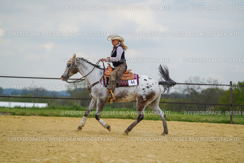 DSC07080 | Pferdegrafie