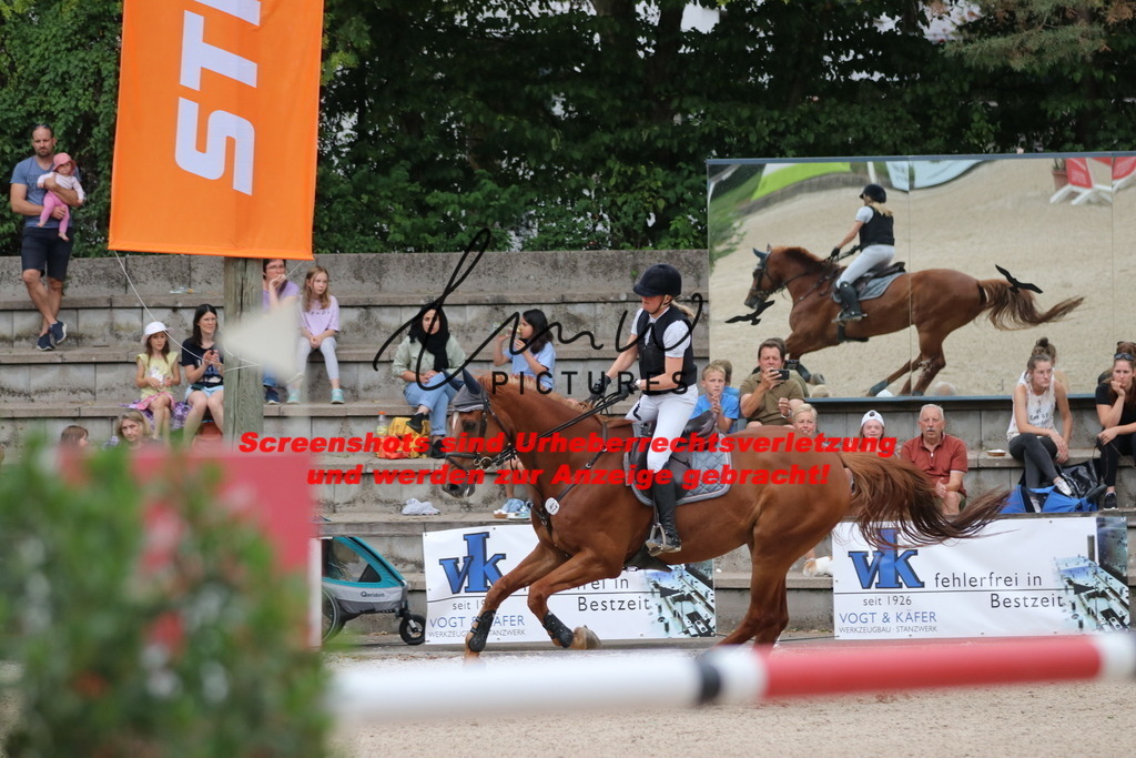 IMG_2936 | lmwpictures - Realisiert mit Pictrs.com