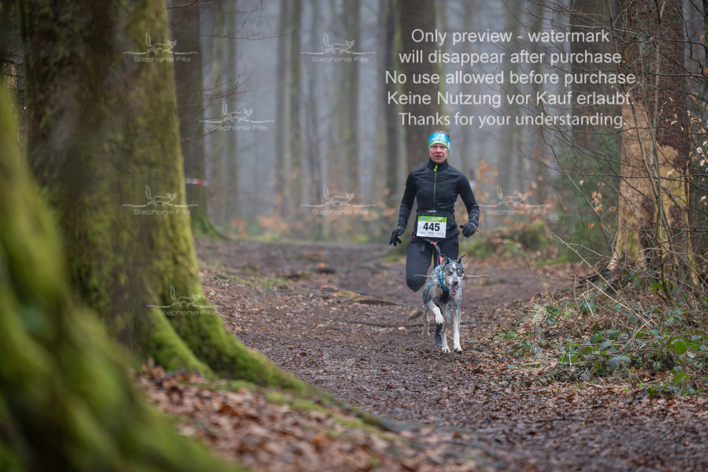 Canix_So-40 | stephaniefillaphotographie - Realisiert mit Pictrs.com