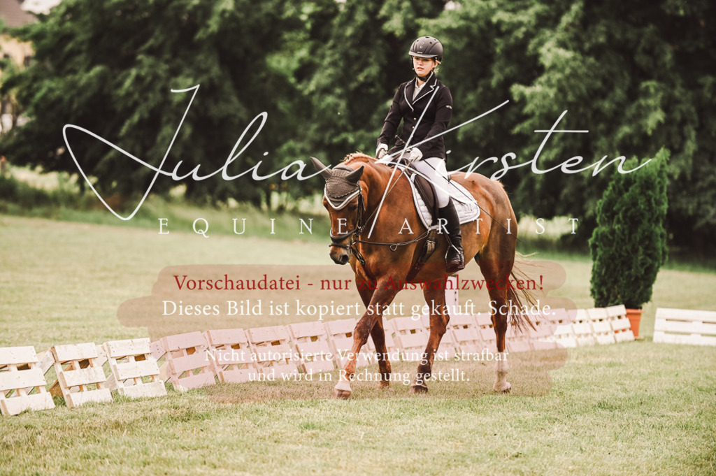 DSC_4835 | Pferde- und Turnierfotografie in Westsachsen. Pferdeportraits, Auftragszeichnungen und intuitive Kunst.