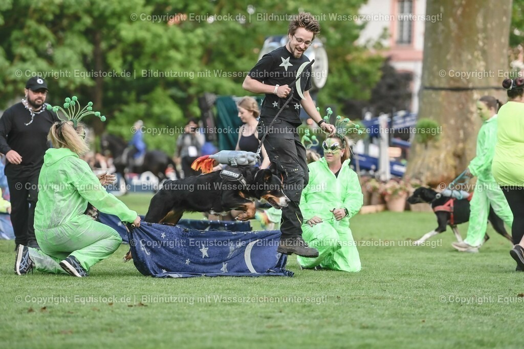 20230526_Pferdenacht_0468 | equistock