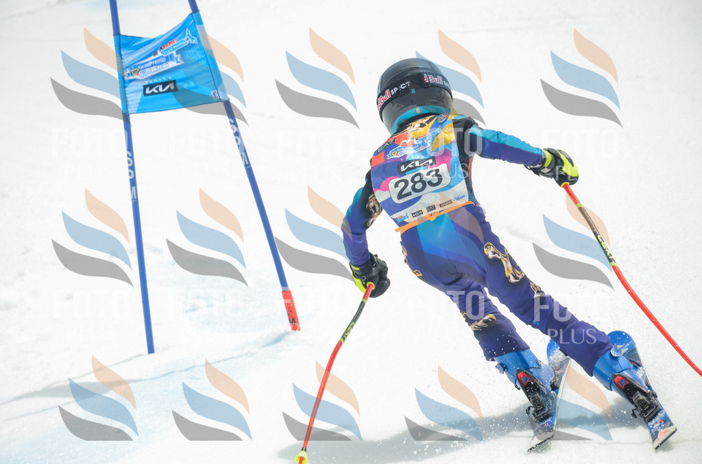 _ELE7985 | holidayphoto