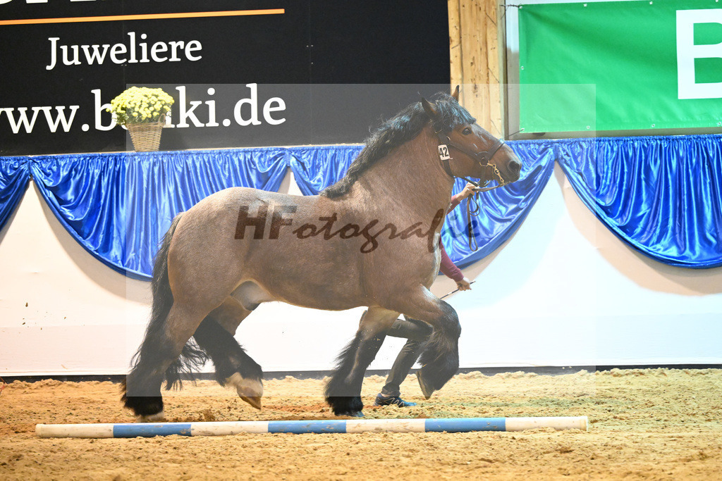 Kat-Nr. 42 Albrecht von Schernikau_Roemmer_53221248 | hf-fotografie - Realisiert mit Pictrs.com