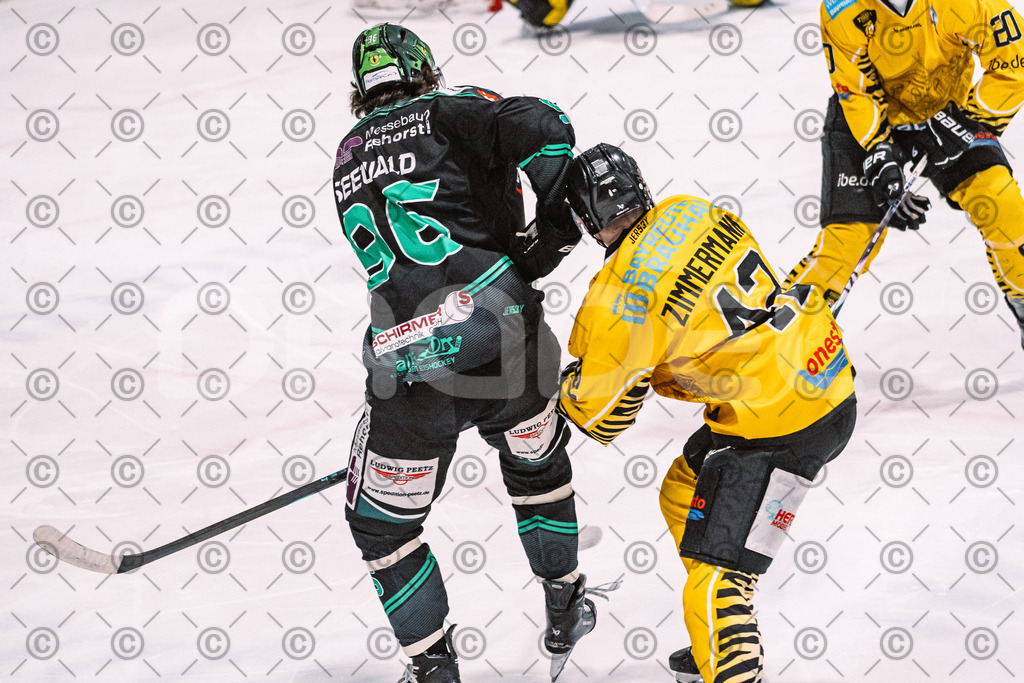 Alligators_vs_Bayreuth_16_01_2026-47 | Höchstadt Alligators Fotogalerie: Eishockey-Action aus Franken. Professionelle Spielfotos, Portraits & Stadionbilder zum Download. Jetzt entdecken! - Realisiert mit Pictrs.com
