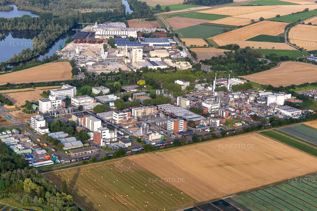 Luftbild: BASF Lampertheim GmbH in Lampertheim im Bundesland Hessen in Deutschland. – Foto: IMG_142749.jpg vom 19.07.2024 durch Werner Riehm/FLY-FOTO.de – Auflösung des Originals: 5472 x 3648 px – WWW.BASF.COM