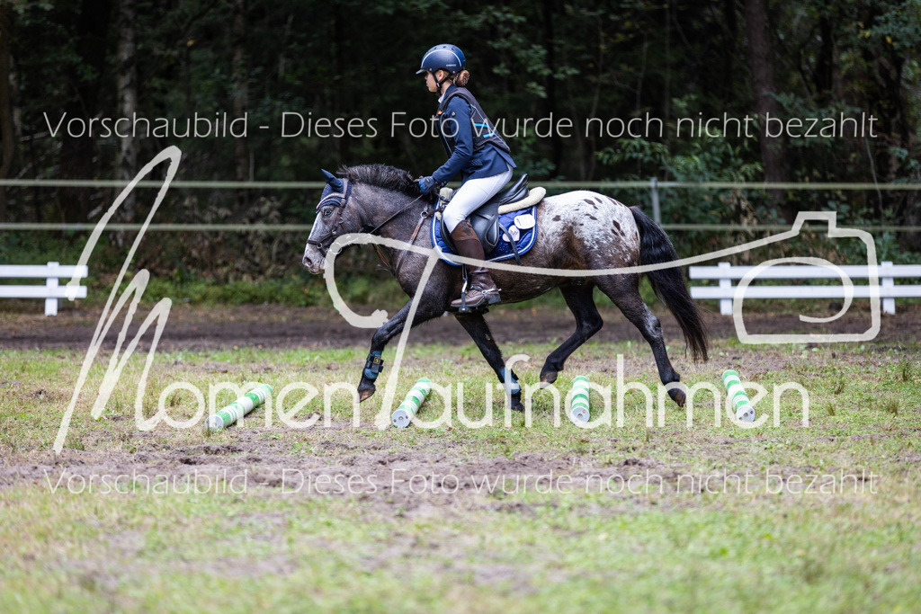 HB-Caprilli-023 | MomenTaufnahmen Pferdesportfotos