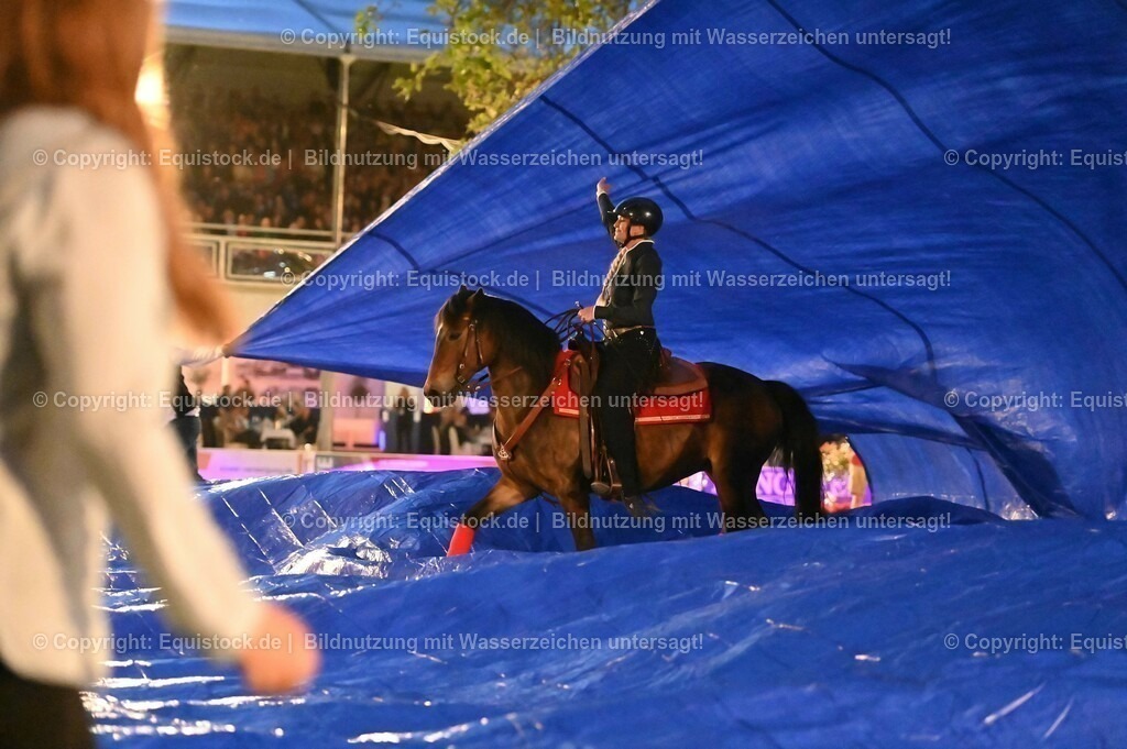 20230526_Pferdenacht_1059 | equistock