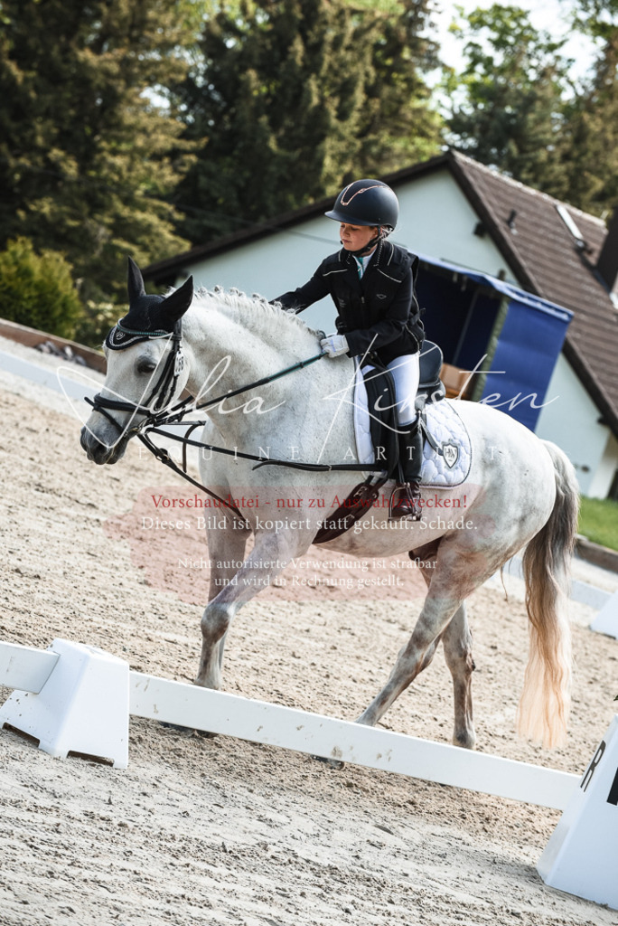 20230518_JK-Röhrsdorf-11-0466 | Pferde- und Turnierfotografie in Westsachsen. Pferdeportraits, Auftragszeichnungen und intuitive Kunst.