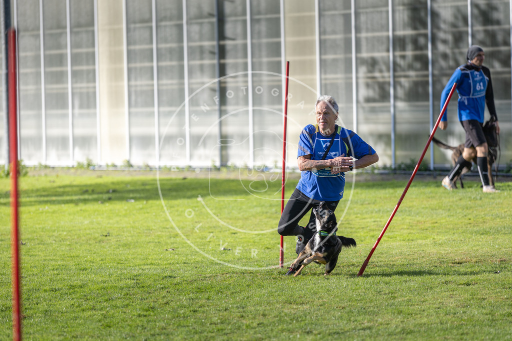 Pfotenfotografie.de_DV3A3337 | Hundefotografie, Tierfotograf, Pfotenfotografie, Fotoshooting Hund, Hunde Portrait, Hundesport, Hundeportraits, Heideshooting, Hunde, Sportfotograf, Hundefotograf, Turnierhundsport, THS, canicross - Realisiert mit Pictrs.com