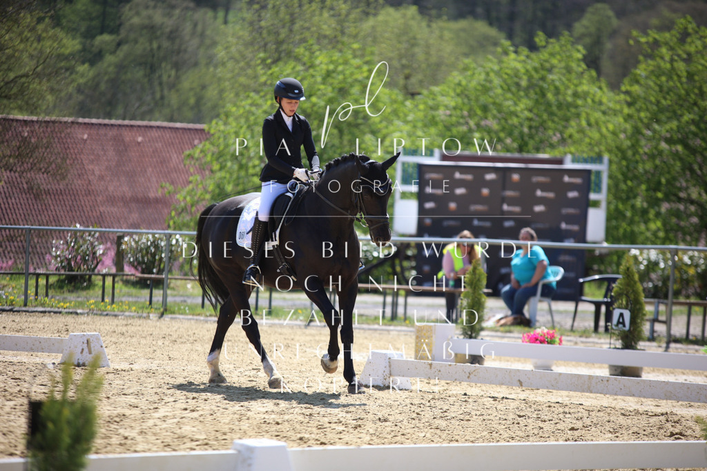 IMGT2630 | pl-fotografie