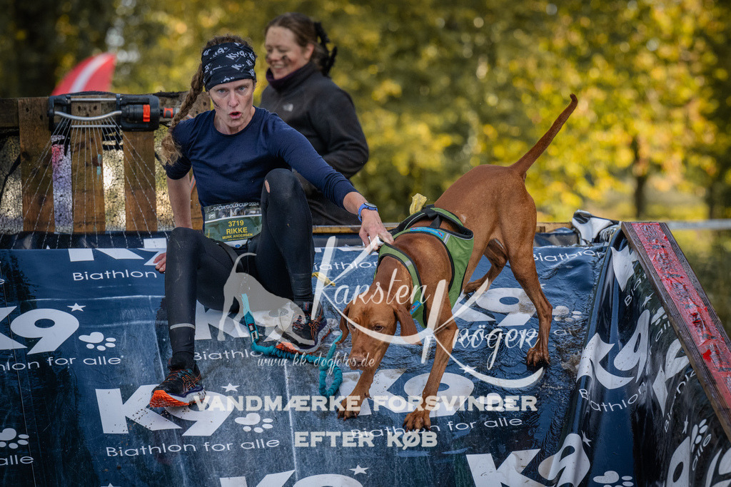1553_ZZ91041 | kk-dogfotos