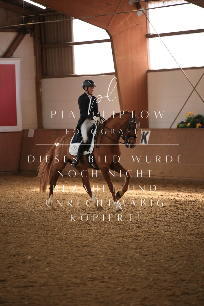 IMGT4581 | pl-fotografie