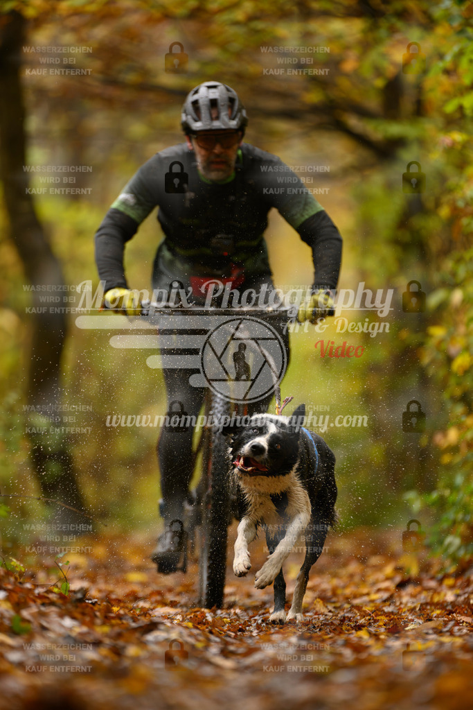 MompixPhotography_CD7S_DI_Bike-23 | mompixphotography