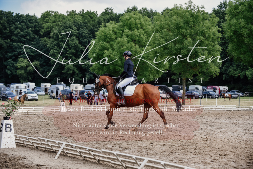 DSC_1774 | Pferde- und Turnierfotografie in Westsachsen. Pferdeportraits, Auftragszeichnungen und intuitive Kunst.