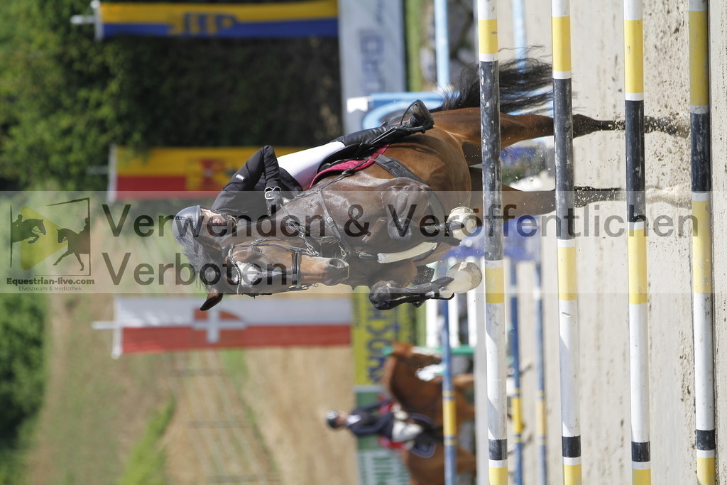 _MG_8631 | equestrian-live-com