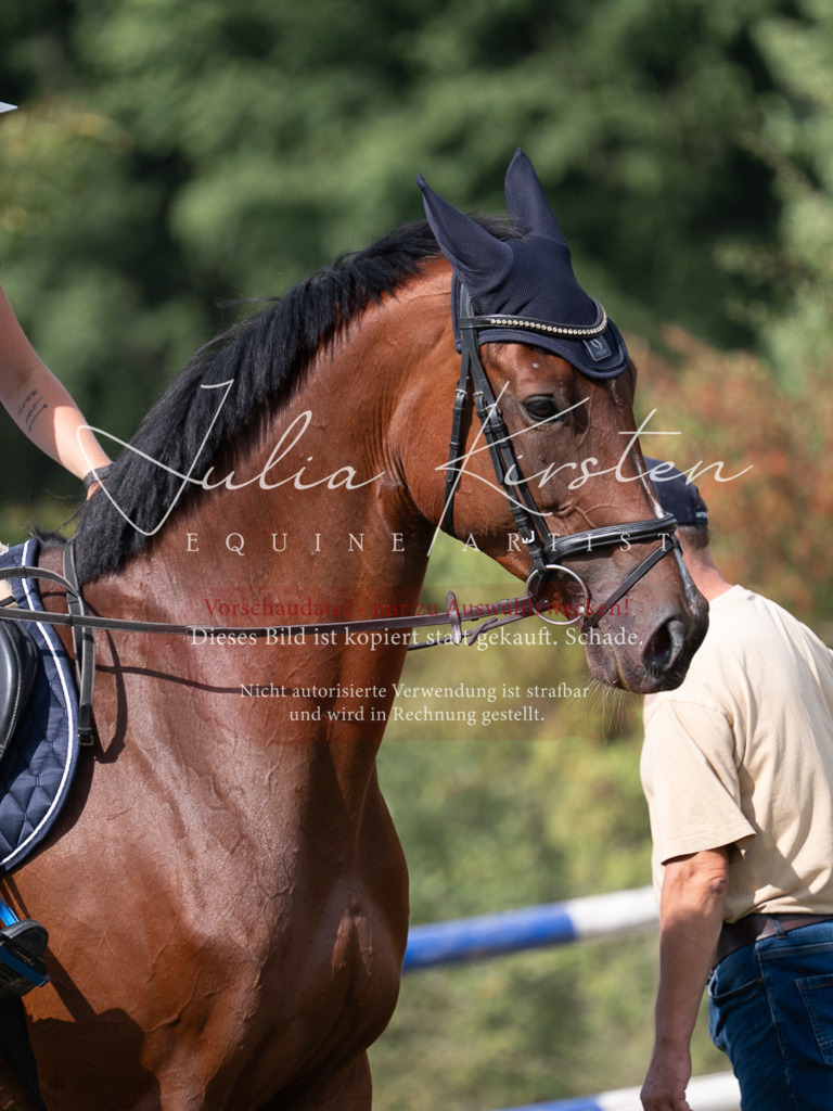 DSC_1010 | Pferde- und Turnierfotografie in Westsachsen. Pferdeportraits, Auftragszeichnungen und intuitive Kunst.