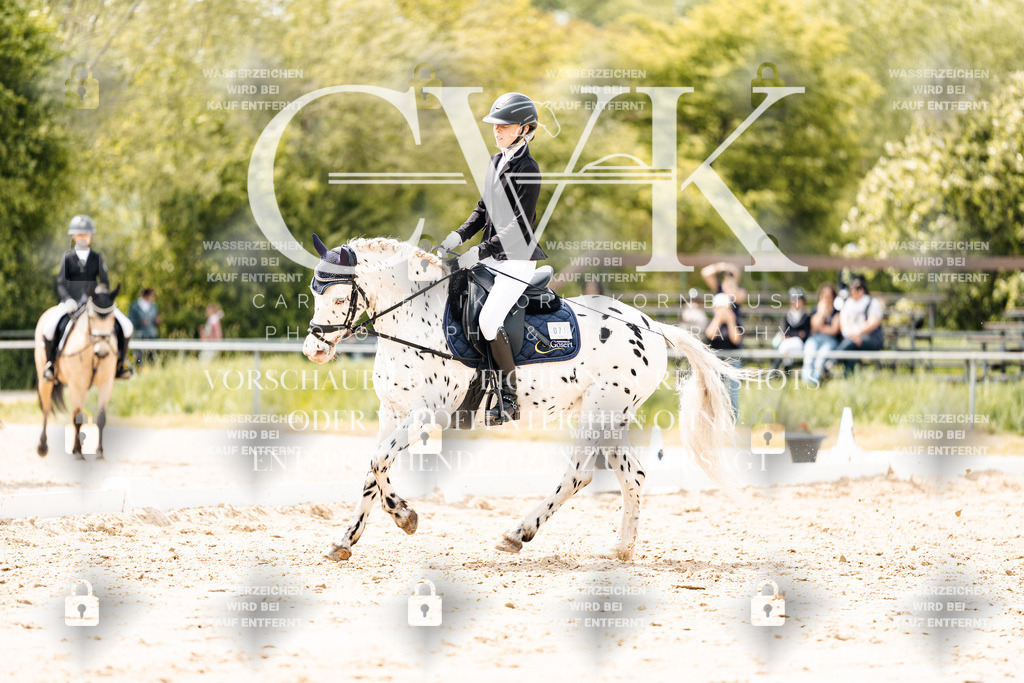 CK902347 | Turnierfotografie Pferdefotografie Trier Rheinland-Pfalz Pferdesport Reitsport Tierfotografie Sportfotografie Pferdevideo Pferdevideografie Equestrianvideography equestrianphotography  - Realisiert mit Pictrs.com