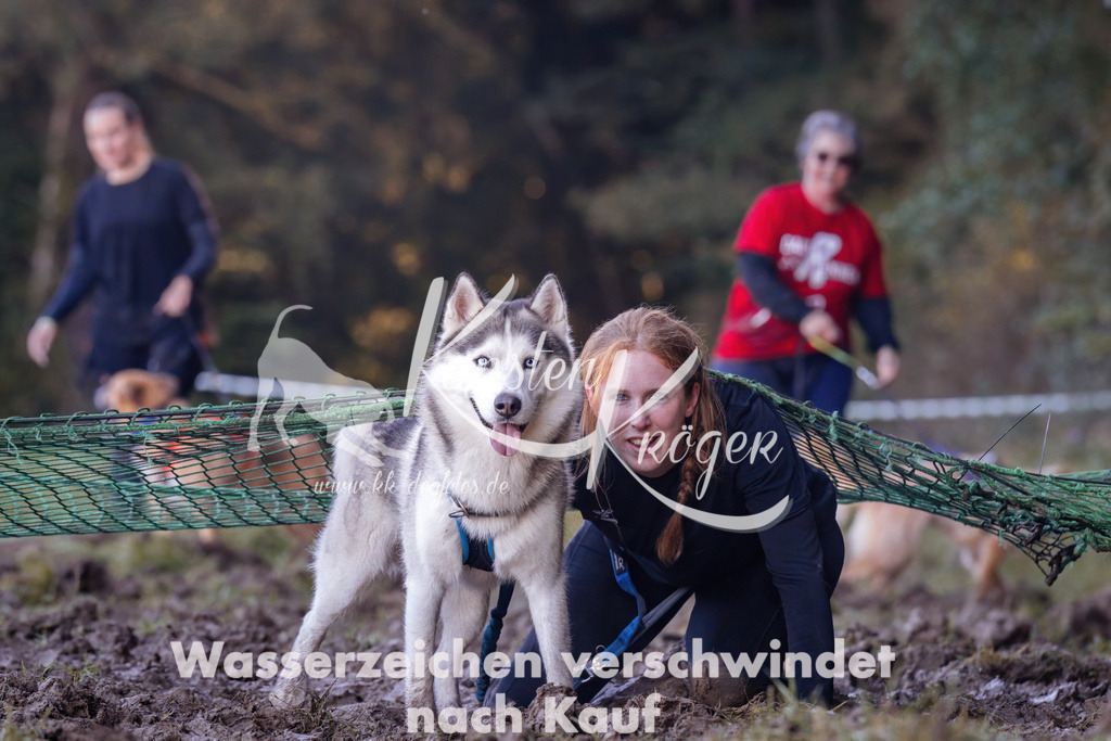 1042_ZZ91963 | kk-dogfotos