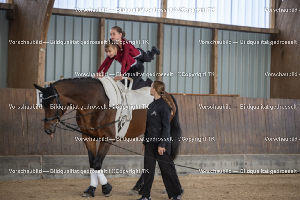 _D5A6718 | Emotionale Pferde- & People-Fotografie rund um Heidelberg, Leimen & Umgebung. Natürliche Fotos von Pferd, Mensch & Familie. Jetzt Termin sichern!