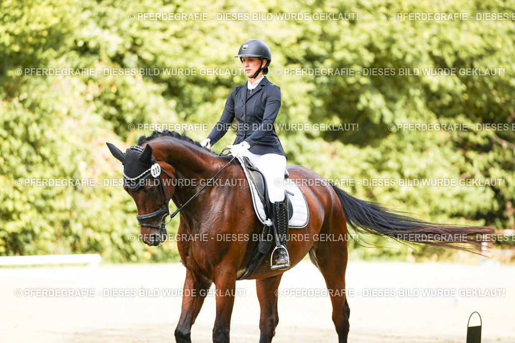 DSC02162 | Pferdegrafie