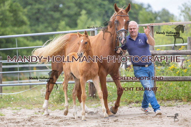 Hexenberg-193 | mandyhollmannphotographie