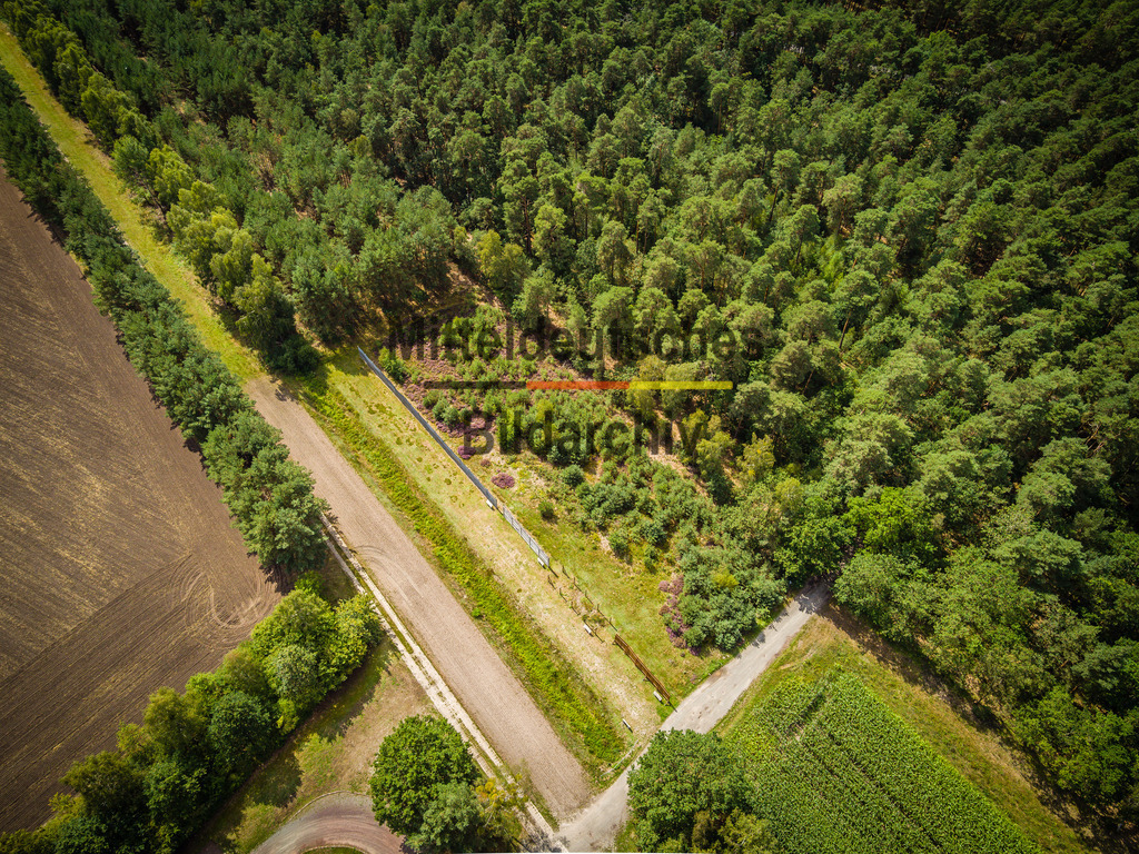 innerdeutsche Grenze Grünes Band Böckwitz-0026 | Die innerdeutsche deutsch-deutsche Grenze, das Grüne Band - Realisiert mit Pictrs.com