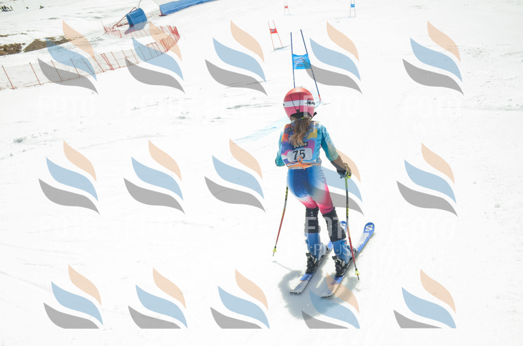 _ELE5492 | holidayphoto