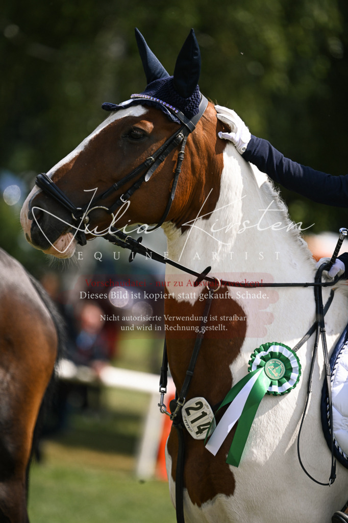 DSC_9190 | Pferde- und Turnierfotografie in Westsachsen. Pferdeportraits, Auftragszeichnungen und intuitive Kunst.