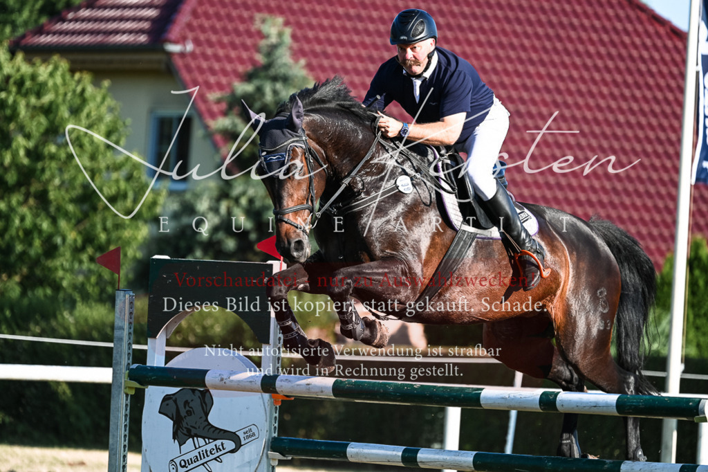 DSC_2996 | Pferde- und Turnierfotografie in Westsachsen. Pferdeportraits, Auftragszeichnungen und intuitive Kunst.
