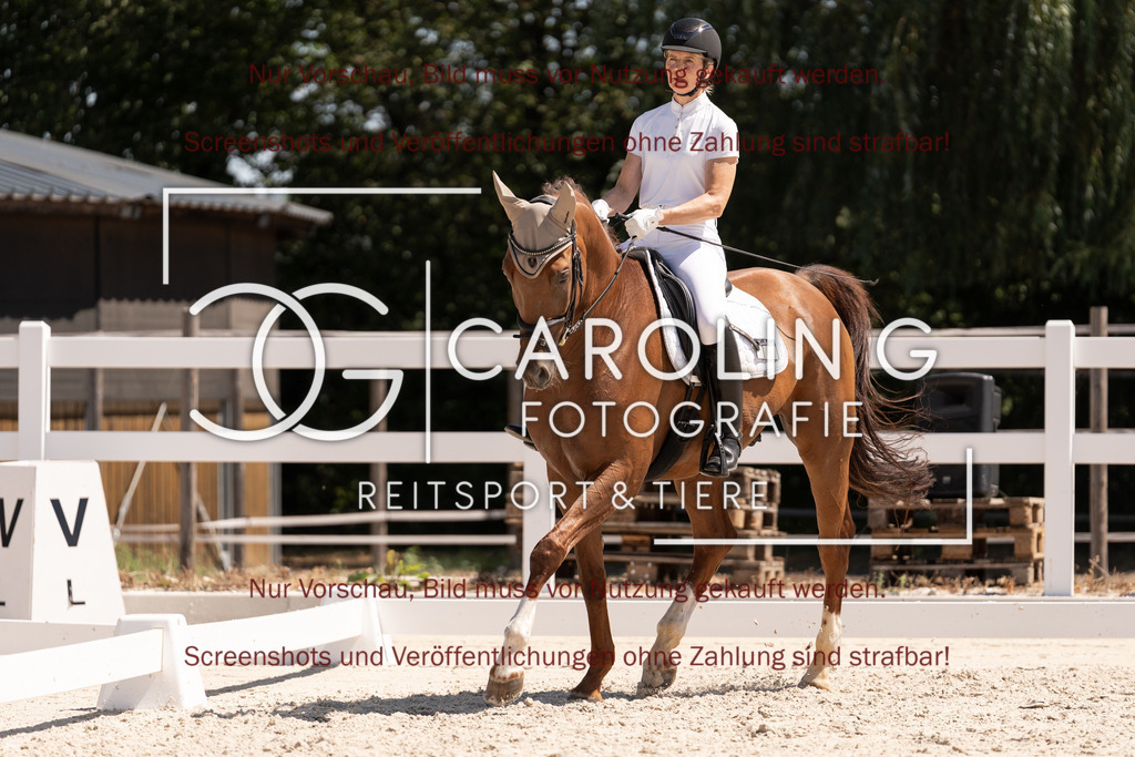DSC05672 | Dressurturnier_Göppingen_2026, Sandra_Betz, Fynn