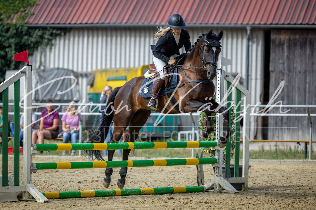 20260704-_3LI6998 | Tierfotografie Pferde, Hunde, Katzen, Haustiere.
Turnierfotografie Reitturniere, Reiten, Springreiten, Dressur in Hanau, dem Main-Kinzig-Kreis und dem Rhein-Main- Gebiet um Frankfurt