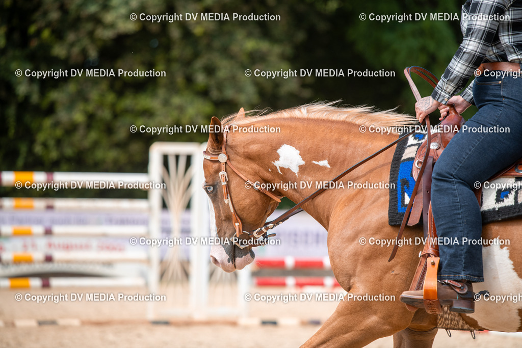 EWP_6753 | dv-media-shop - Realisiert mit Pictrs.com