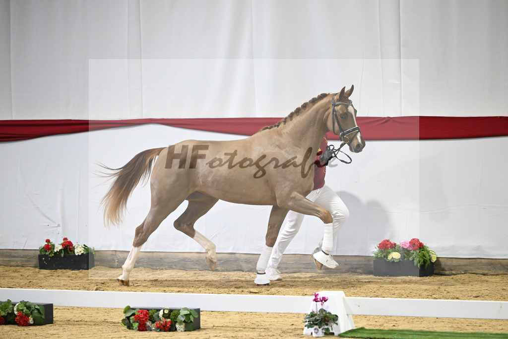 Kat-Nr. 48 v. Danone I_Mueller_63221225 | hf-fotografie - Realizzato con Pictrs.com