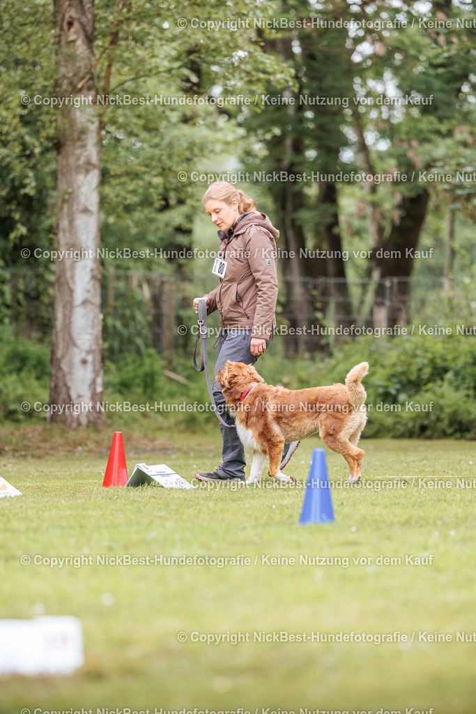 RO-Blumenthal-2026-Nickbest-Hundefotografie-3365 | Dein Hund! Dein Moment! Deine Erinnerungen! Hundefotografie in Bremen Blumenthal. Ich fange die besonderen Momente deines Vierbeiners ein – ob Indoor mit Blitzanlage oder in der freien Natur. Sicher dir dein Moment und dein Termin für eure Erinnerungen.
