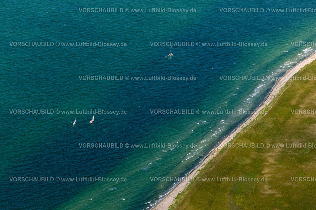 Hiddensee12081700 | Süden der Insel Hiddensee, Naturschutzgebiete Gellen und Gänsewerder, Naturschutzgebiet Dünenheide, Heidelandschaft,  Klausdorf, Ostseeinsel, Mecklenburg-Vorpommern, Deutschland, Europa