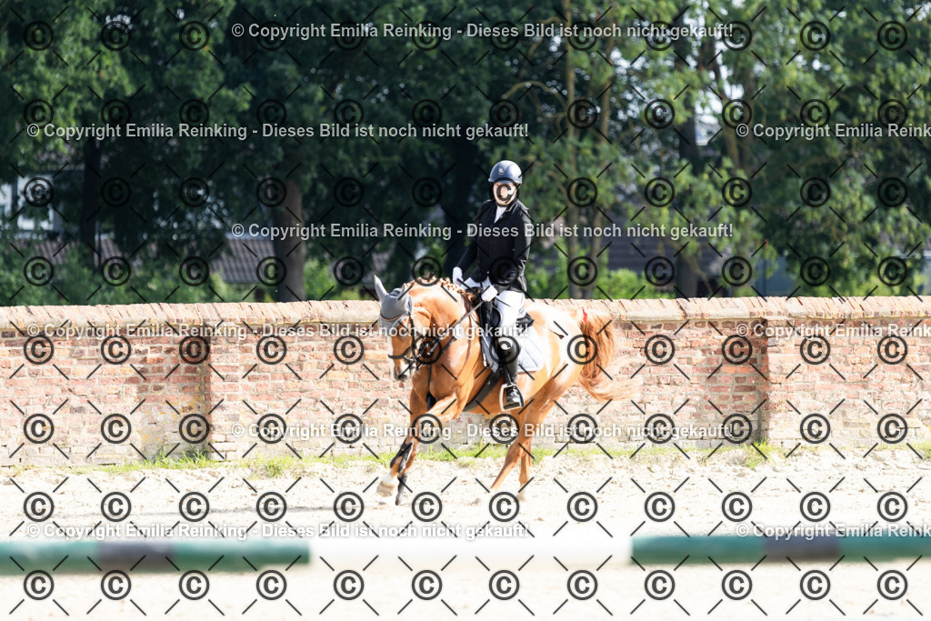 CL5A6175 | Emilia Reinking Fotografie - Realisiert mit Pictrs.com