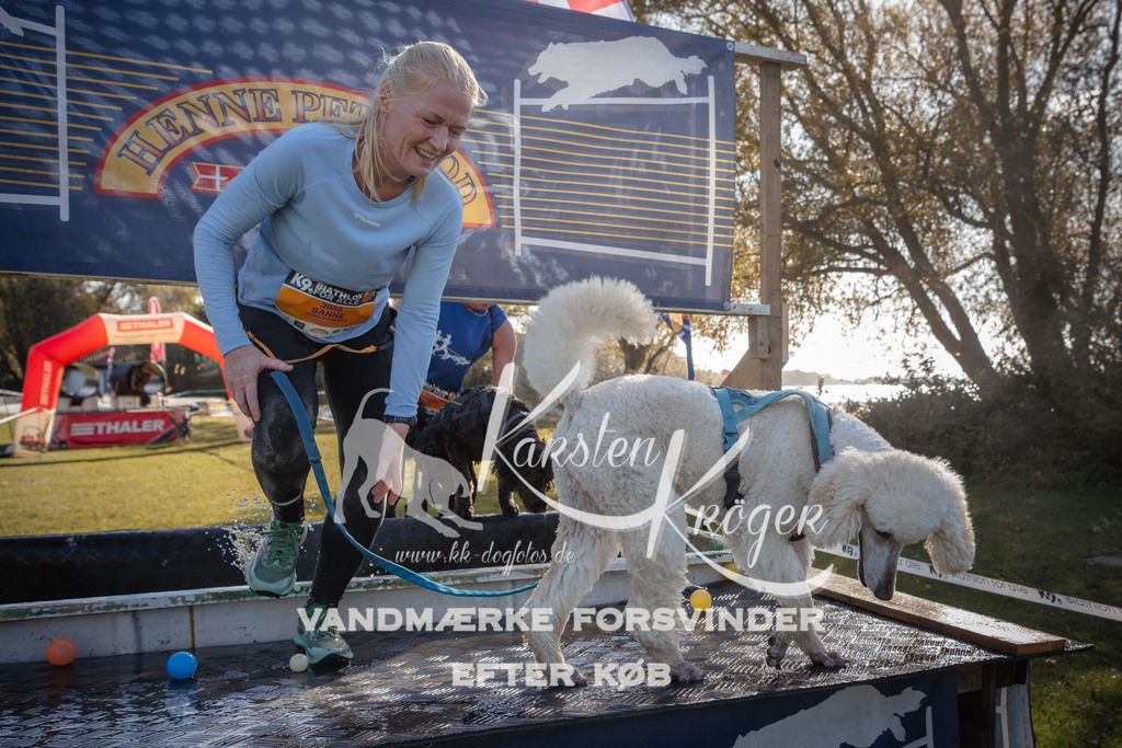 1203_ZZ94398 | kk-dogfotos