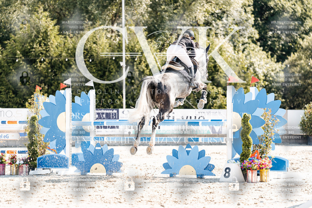 CK902646 | Turnierfotografie Pferdefotografie Trier Rheinland-Pfalz Pferdesport Reitsport Tierfotografie Sportfotografie Pferdevideo Pferdevideografie Equestrianvideography equestrianphotography  - Realisiert mit Pictrs.com