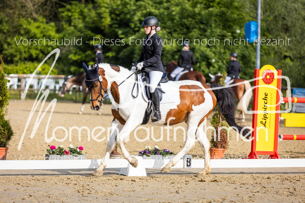 Donop24-A-Dre-045 | MomenTaufnahmen Pferdesportfotos