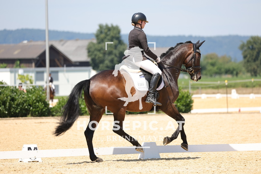 0P6A0459 | Willkommen bei Brunnmayr - Design & Fotografie – Ihrem Spezialisten für Reitturniere und Pferdeveranstaltungen in Oberösterreich, Salzburg und Bayern! Seit über 17 Jahren sind wir leidenschaftlich dabei.