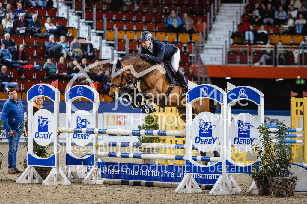 250108_Muenster_Hengstpräsentation-181 | Deine schönsten Turniermomente als professionelle Fotos! Entdecke hochwertige Pferdesport-Fotografie im Online-Shop. Jetzt Fotos finden & bestellen!