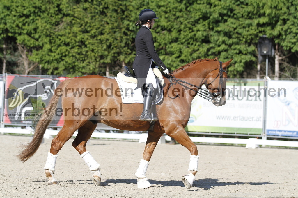 _MG_3058 | equestrian-live-com