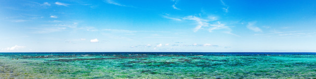2022CU_PLAYA_coral-21_4500px_kurze_Kante_PRINT_6003