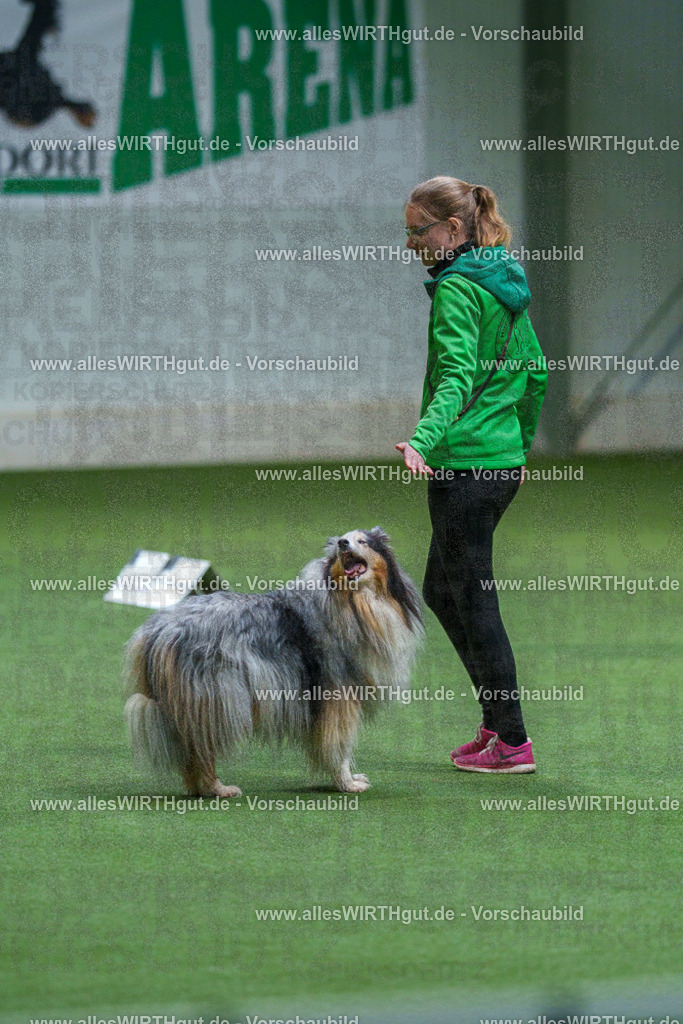 7R506216 | Professionelle Tierfotografie in Mönchengladbach von Daniel Wirth (allesWIRTHgut). Liebevolle & natürliche Bilder von Hunden & Katzen für unvergessliche Erinnerungen.