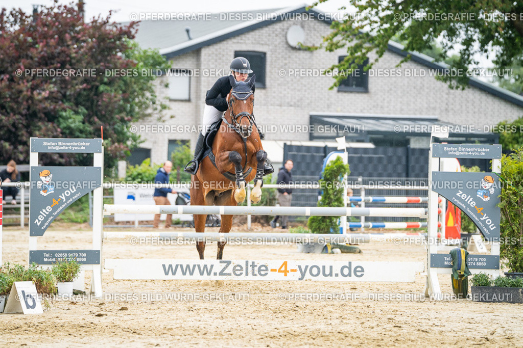 DSC00483 | Pferdegrafie