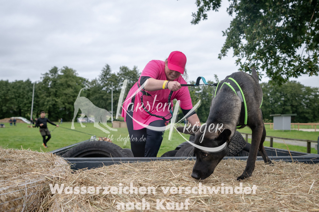 1238_ZZ91617 | kk-dogfotos