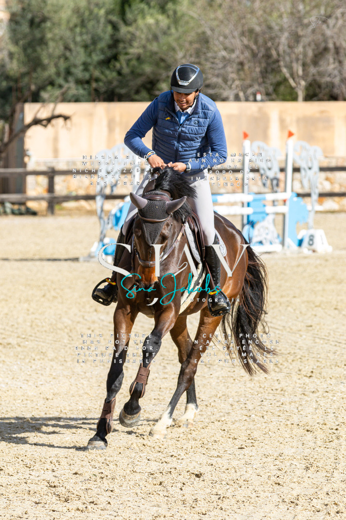 IMG_4016 | s-jay-photography - Realisiert mit Pictrs.com