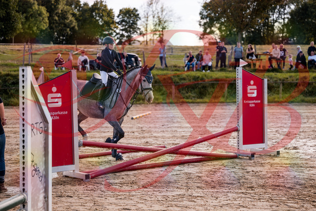 2026_10_03_Siefer-Hof_145054_Z81_29044981 | Professionelle Reitsport-, Turnier- und Eventfotografie von Robert Broda. Galerien mit ausgewählten und bearbeiteten Bildern direkt online ansehen und bestellen.